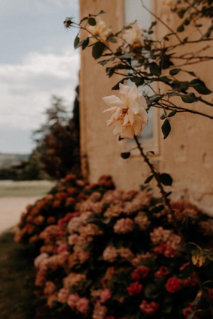 Mariage Au Château D'ailly Dans La Loire Emma & Clément Diane Barbier Photographe (4)