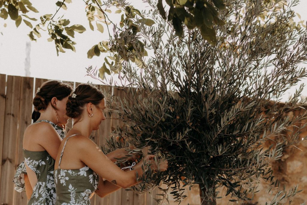 Mariage Au Domaine De Baulieu Dans Le Gers Elena & Guillaume Diane Barbier Photographe (64)