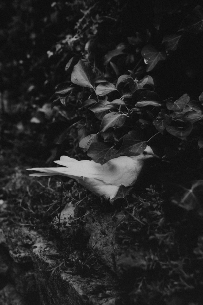 Mariage Génial Sous La Pluie Dans Le Lot Domaine De Cardou Diane Barbier Photographe (55)